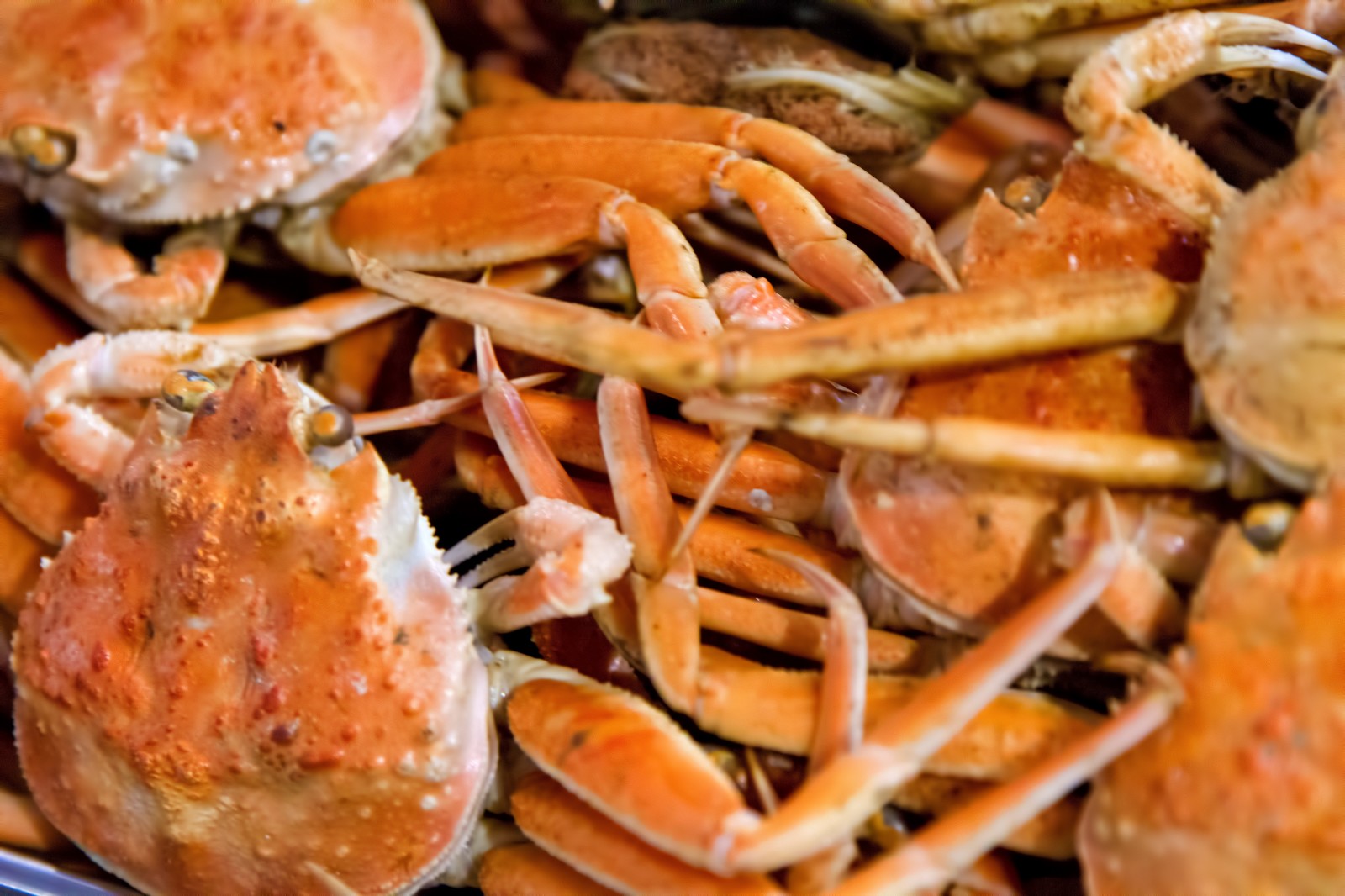 どうまん蟹とは 値段や食べ方のおすすめは キニナル